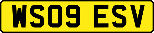 WS09ESV