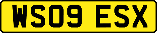 WS09ESX