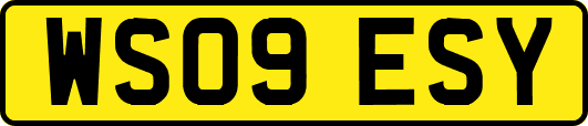 WS09ESY