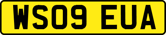 WS09EUA