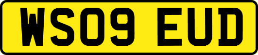 WS09EUD