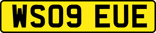 WS09EUE