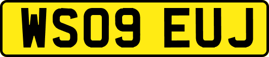 WS09EUJ