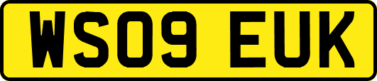 WS09EUK