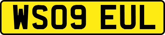 WS09EUL