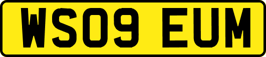 WS09EUM