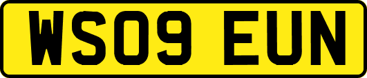 WS09EUN