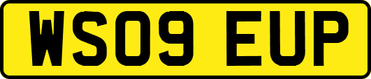 WS09EUP