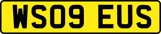 WS09EUS