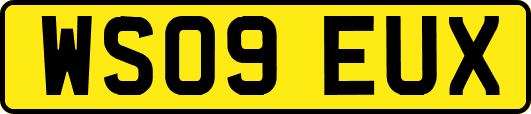 WS09EUX