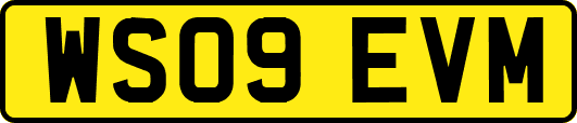 WS09EVM