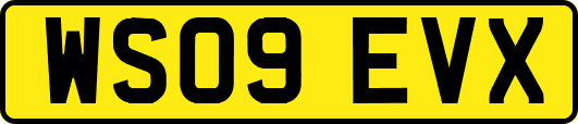 WS09EVX
