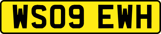 WS09EWH