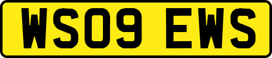WS09EWS