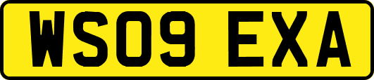 WS09EXA