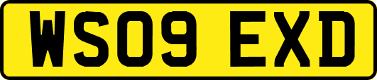 WS09EXD