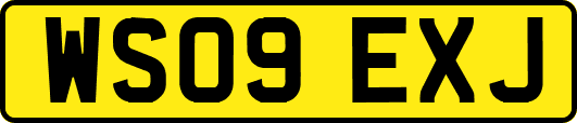WS09EXJ