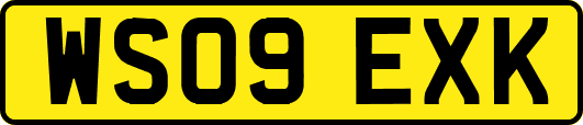 WS09EXK