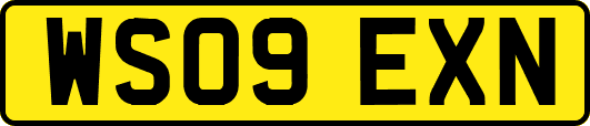 WS09EXN