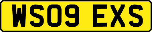 WS09EXS