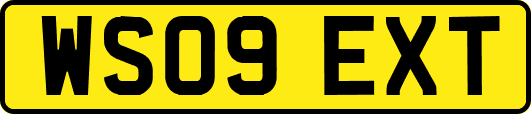 WS09EXT