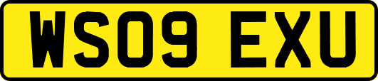 WS09EXU