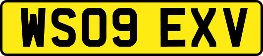 WS09EXV