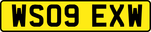 WS09EXW