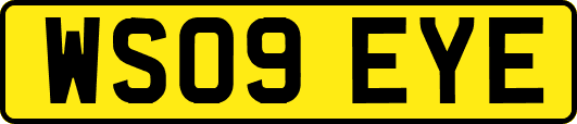 WS09EYE