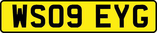 WS09EYG