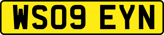 WS09EYN