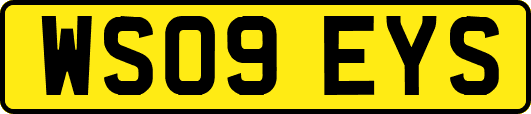 WS09EYS