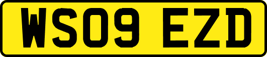 WS09EZD
