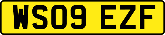 WS09EZF