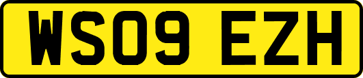 WS09EZH