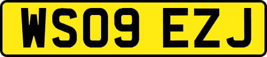WS09EZJ
