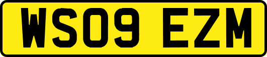 WS09EZM