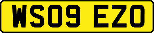 WS09EZO