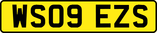 WS09EZS