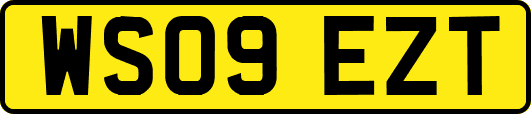 WS09EZT