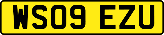 WS09EZU