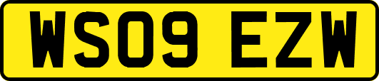 WS09EZW