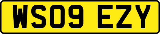 WS09EZY
