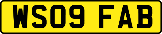 WS09FAB