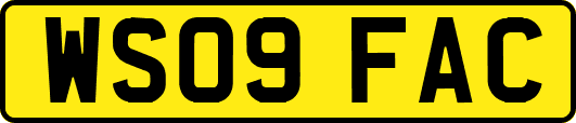 WS09FAC