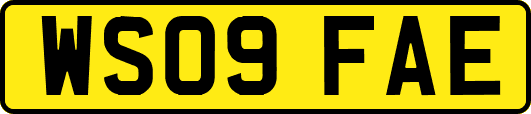 WS09FAE