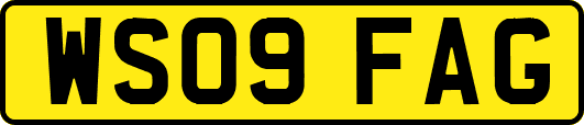 WS09FAG
