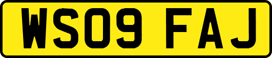 WS09FAJ