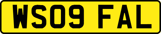 WS09FAL