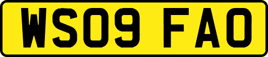 WS09FAO